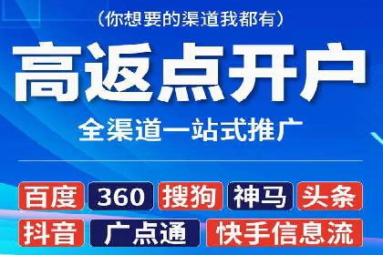百度移动端应用推广策略探讨