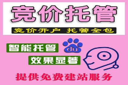 案例解析：SEM推广优化成功之道